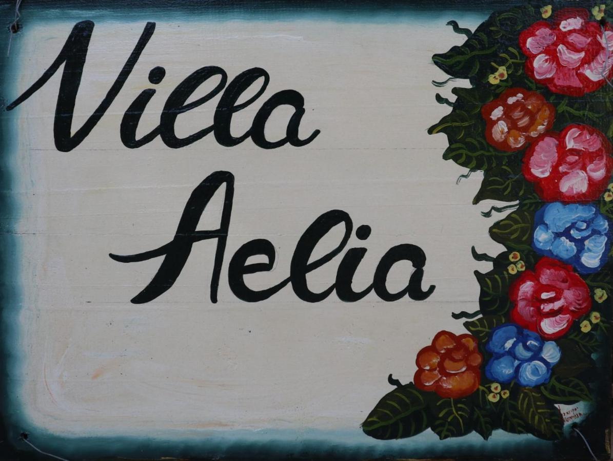 Villa Aelia - A Peaceful And Private Place Argostolion Exterior foto