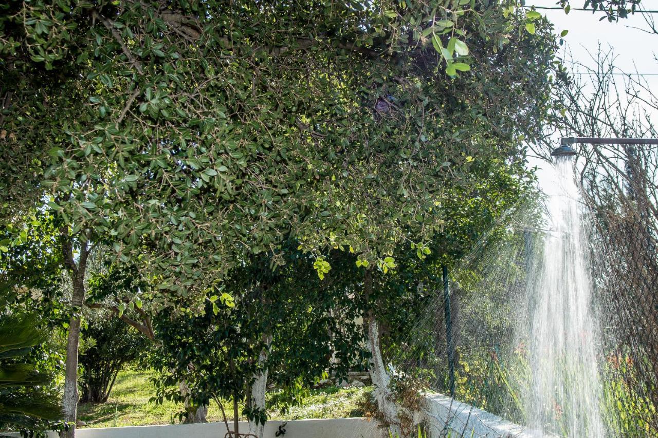 Villa Aelia - A Peaceful And Private Place Argostolion Exterior foto